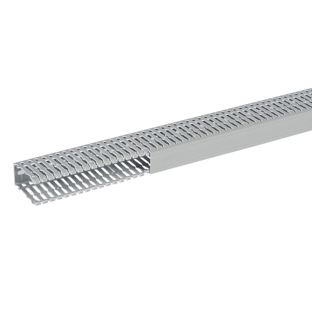 SEGMA 40X80 6/6,5 GRIS
