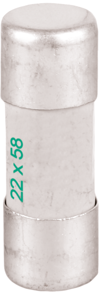 Fusible  40A aM 22x58 sans percuteur