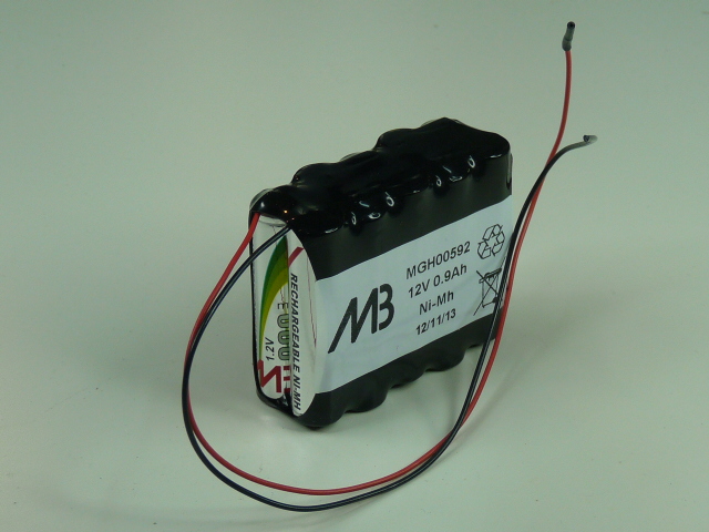 Pack(s) Batterie Nimh 10x AAA 10S1P ST2 12V 800mAh F100