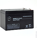 Unité(s) Batterie plomb AGM NX 12-12 General Purpose FR 12V 12Ah F6.35