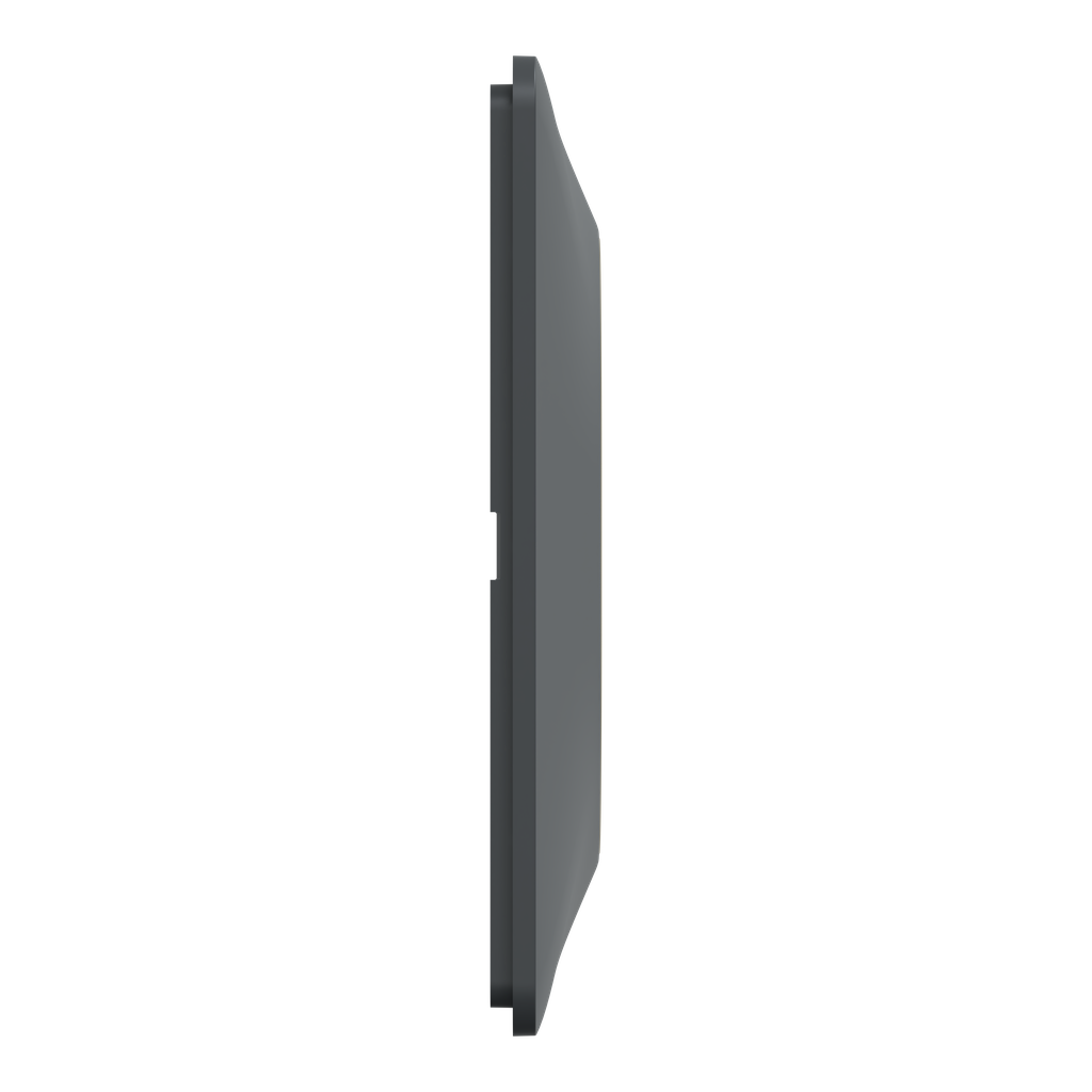 Ovalis - plaque de finition - 2 postes horizontal - 71mm - anthracite - laiton