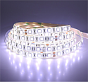 BANDEAU BLC 6000K 5M 60 LED ET 14.4W/M IP65 24V PU