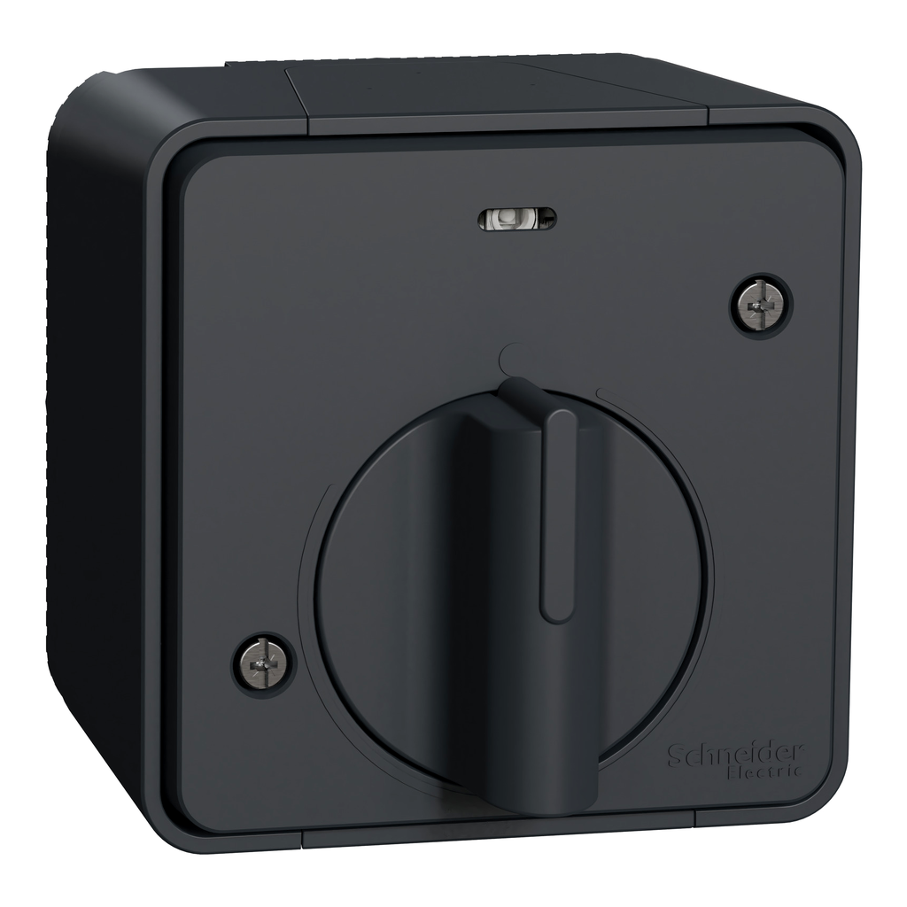 Mureva Styl - Interrupteur temporisé LED - saillie - IP55 - IK08 - gris