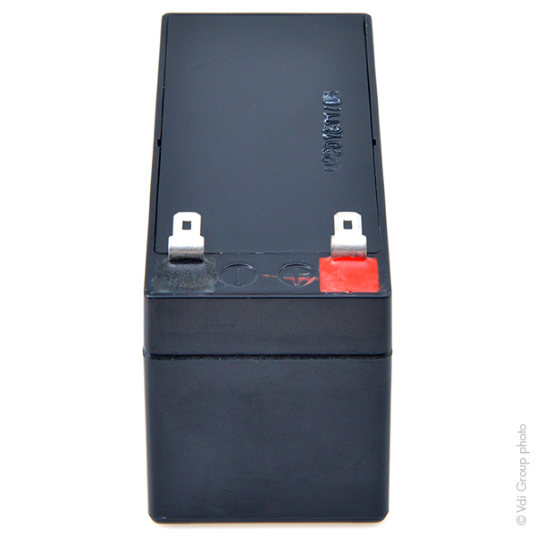 Batterie(s) Batterie plomb AGM FIAMM FG20121A 12V 1.2Ah F4.8