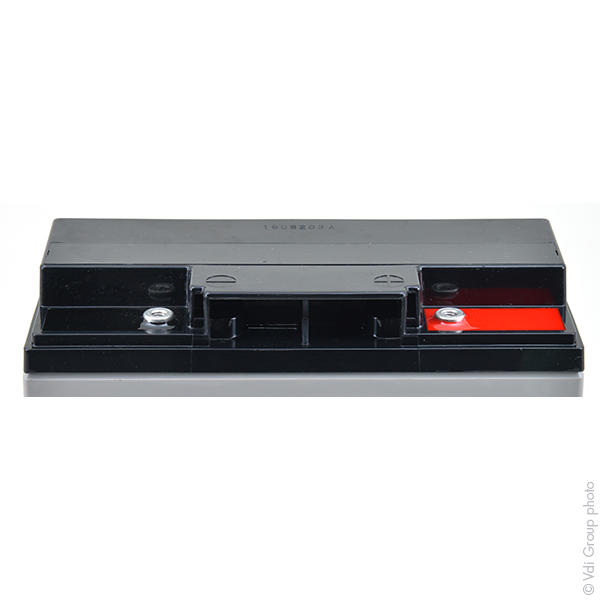 Batterie(s) Batterie plomb AGM YUASA REC22-12I 12V 22Ah M5-F