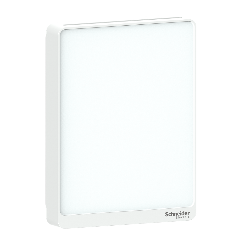 CO2/VOC/RH/Temp/Analog/Opt.White