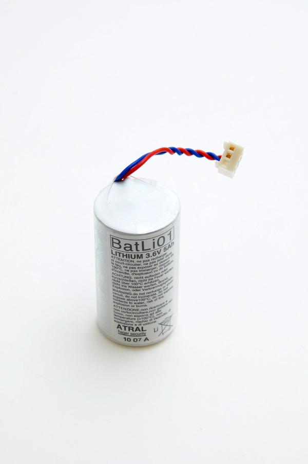 Pile(s) Batterie systeme alarme DAITEM BATLI01 3.6V 5Ah