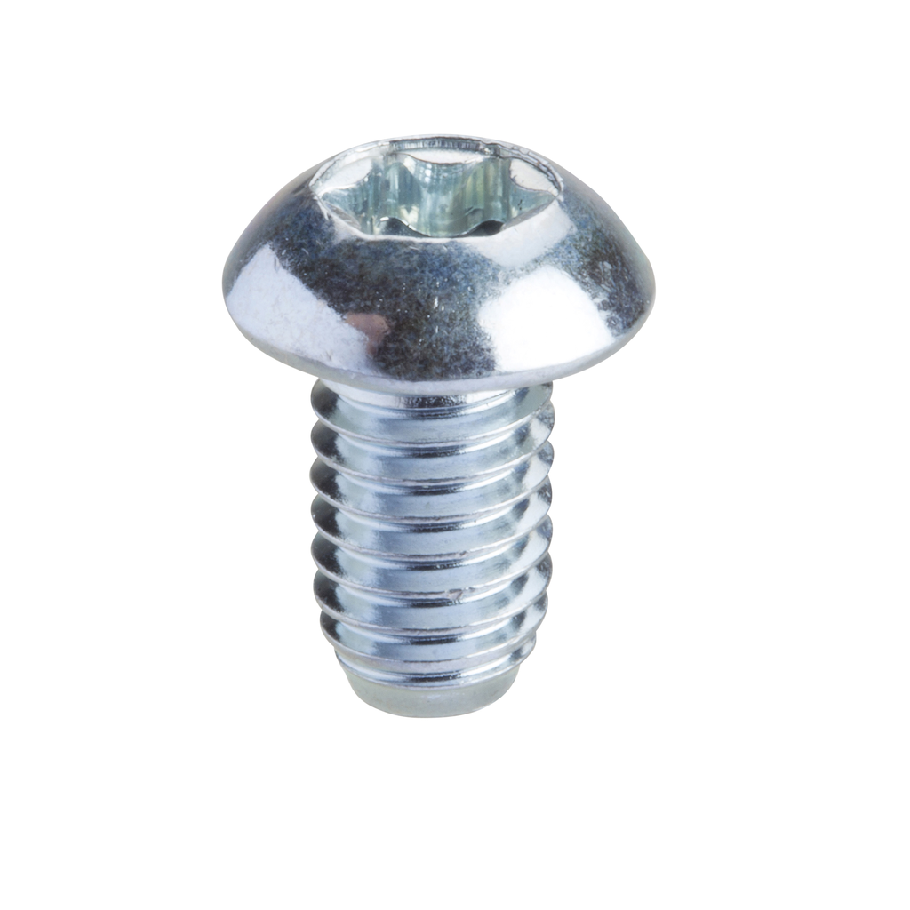 PanelSeT - vis Torx T30 - M6x10mm
