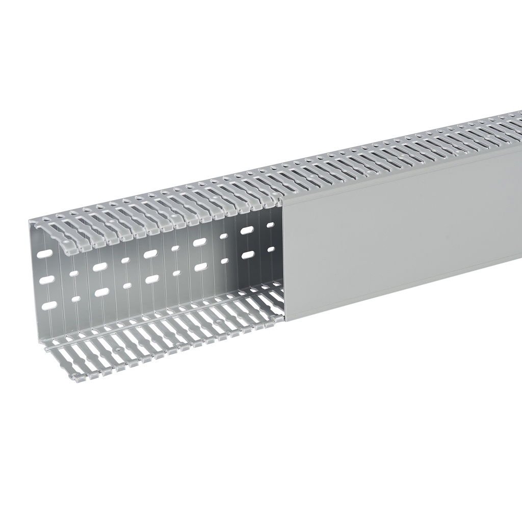SEGMA 120X80 6/6,5 GRIS