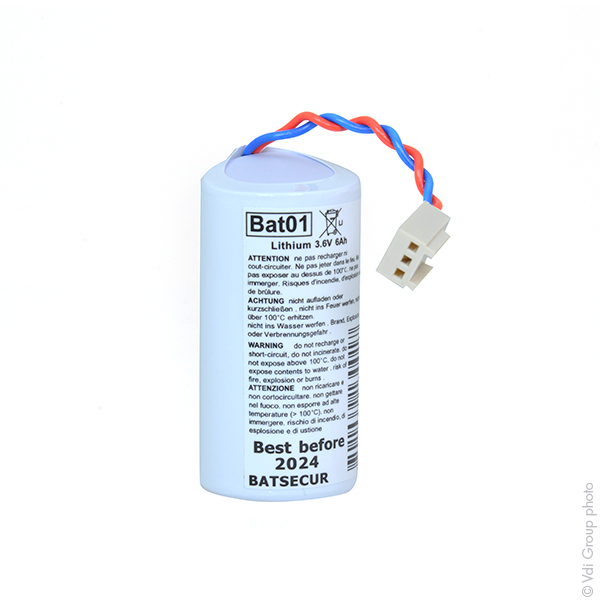 Pile(s) Batterie systeme alarme BATSECUR BAT01 3.6V 6Ah