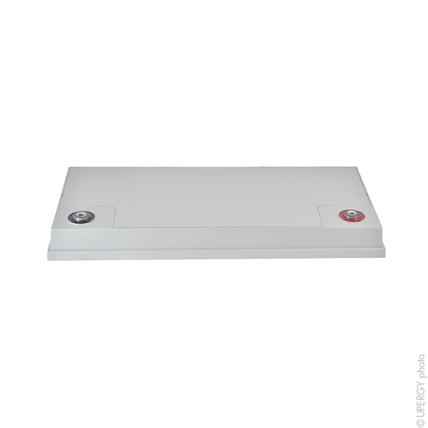 Batterie(s) Batterie plomb AGM YUASA NPL78-12 IFR 12V 78Ah M8-F