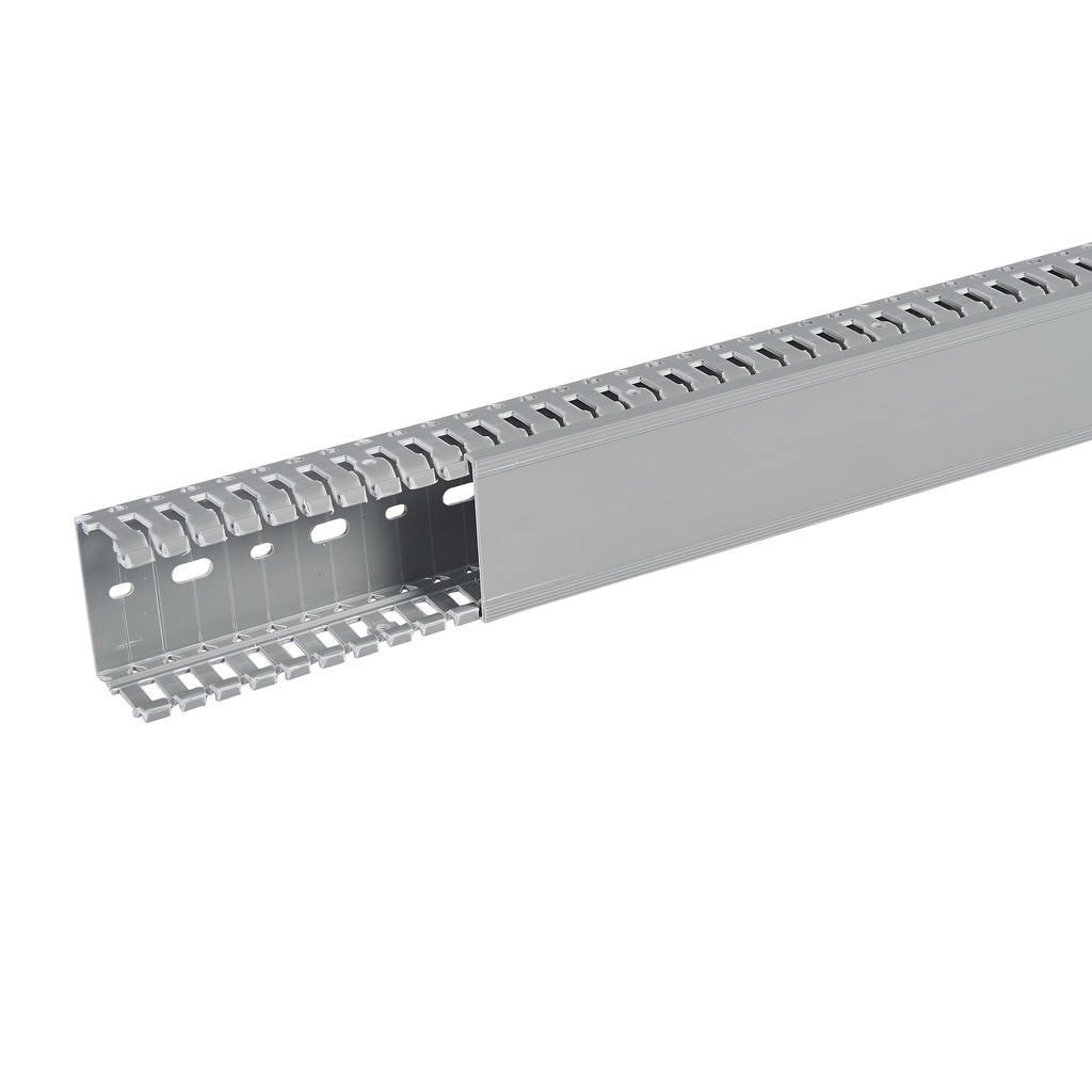 SEGMA 60X40 6/6,5 GRIS