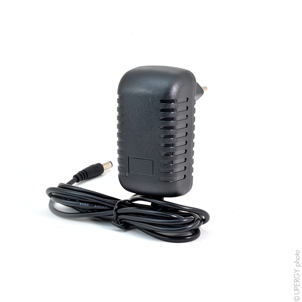 Unité(s) Chargeur pour projecteur portable et rechargeable LED 20W