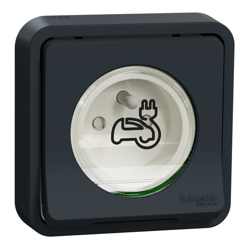 [SCHMUR36011] Mureva Styl - Prise courant 2P+T renforcée pour VE - IP55 IK08 - encastre - gris