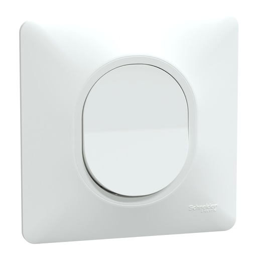 [SCHS321206] Ovalis - bouton poussoir à fermeture - 10AX - Blanc - griffes montées - plaque