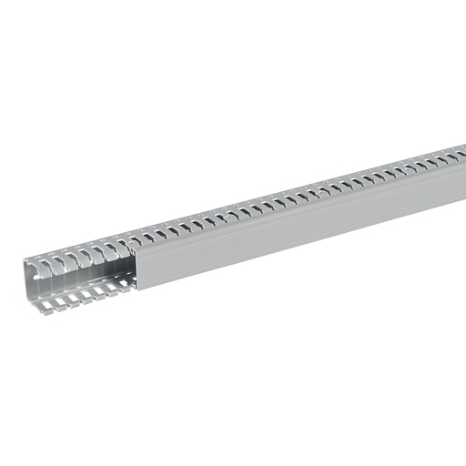 [PLW21155] SEGMA 40X40 6/6,5 GRIS