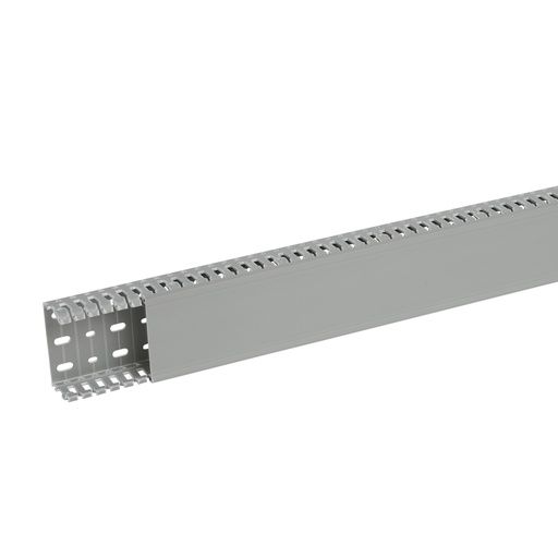 [PLW21157] SEGMA 80X40 6/6,5 GRIS