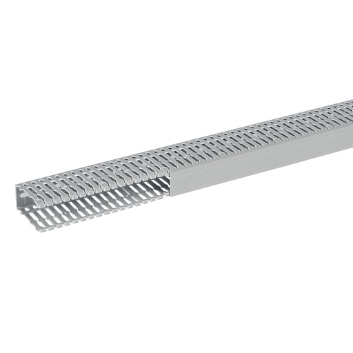 [PLW21166] SEGMA 40X80 6/6,5 GRIS