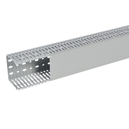 [PLW21169] SEGMA 100X80 6/6,5 GRIS