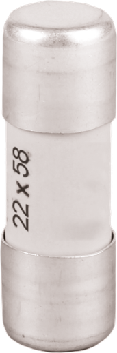 [EUR29098] Fusible  100A gL/gG 22x58 sans percuteur