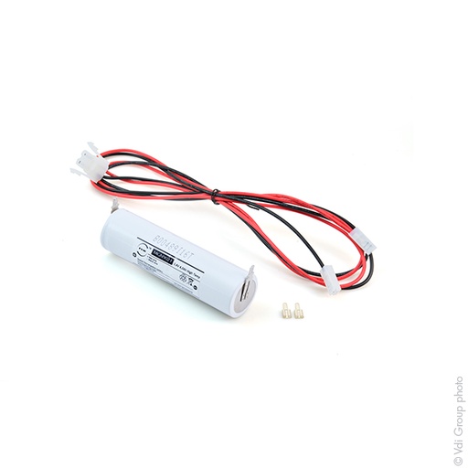 [ENIMGN9063] Batterie(s) Batterie eclairage secours 2xD ST4 + AMP 2.4V 4Ah