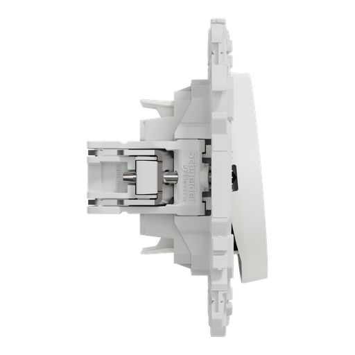 [SCHS925214] Odace - double va-et-vient ou poussoir avec griffes - 10AX - blanc craie