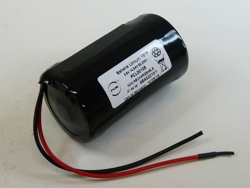 [ENIPCL00108] Batterie(s) Pile lithium ER34615M D 3.6V 14500mAh F100