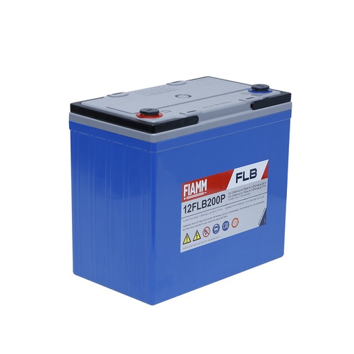 [ENIAMP8534] Batterie(s) Batterie onduleur (UPS) FIAMM 12FLB200P 12V 55Ah M6-F