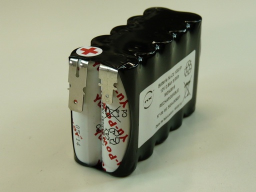 [ENIMGN0816] Pack(s) Batterie systeme alarme 10xAA HT 10S1P ST2 12V 800mAh FAST