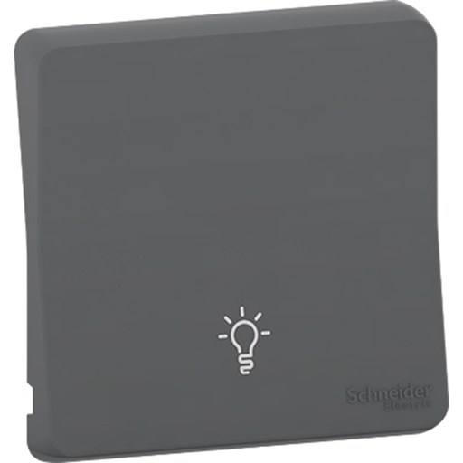 [SCHMUR34202] Mureva Styl - Enjoliveur avec symbôle lumière - IP55 - IK08 - gris