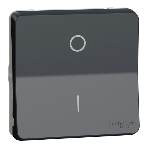 [SCHMUR35034] Mureva Styl - Interrupt bipolaire - composable - IP55 IK08 - connex auto - gris