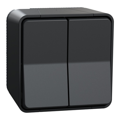 [SCHMUR35022] Mureva Styl - Double va et vient - saillie - IP55 - IK08 - connexion auto - gris