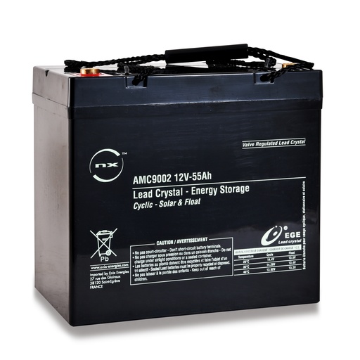 [ENIAMC9002] Batterie(s) Batterie lead crystal 6-CNFJ-55 12V 55Ah M6-F