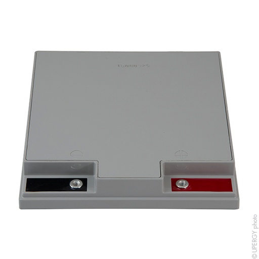 [ENIAMP9233] Batterie(s) Batterie plomb AGM YUASA NPL24-12IFR 12V 24Ah M5-F