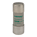 [FEZH216667] Fusible cartouche cylindrique aM 22x58 CEI 690VAC 80A