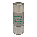 [FEZV213113] Fusible cartouche cylindrique aM 22x58 CEI 690VAC 32A