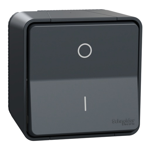 [SCHMUR35033] Mureva Styl - Interrupteur bipolaire - saillie - IP55 - IK08 connex auto - gris