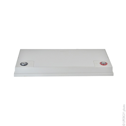 [ENIAMP9237] Batterie(s) Batterie plomb AGM YUASA NPL78-12 IFR 12V 78Ah M8-F