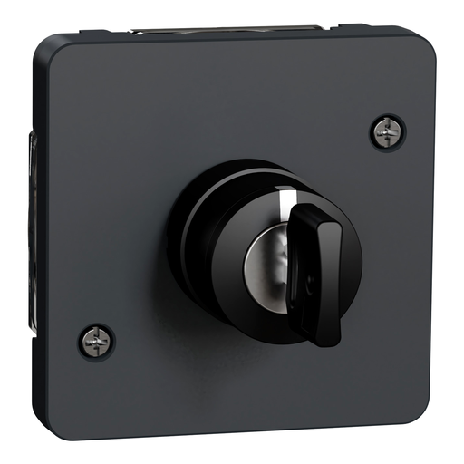 [SCHMUR35061] Mureva Styl - Interrupteur à clé 3 positions - composable - IP55 - IK08 - gris