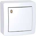 [SCHALB62057P] Alréa, Va-et-vient lumineux forte luminosité avec cadre saillie, blanc polaire