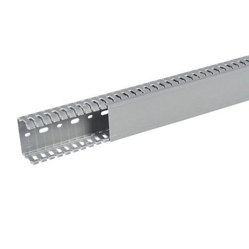 [PLW21156] SEGMA 60X40 6/6,5 GRIS