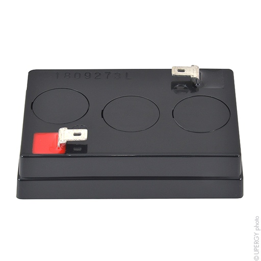 [ENIAMP9218] Batterie(s) Batterie plomb AGM YUASA NP4-6 6V 4Ah F4.8